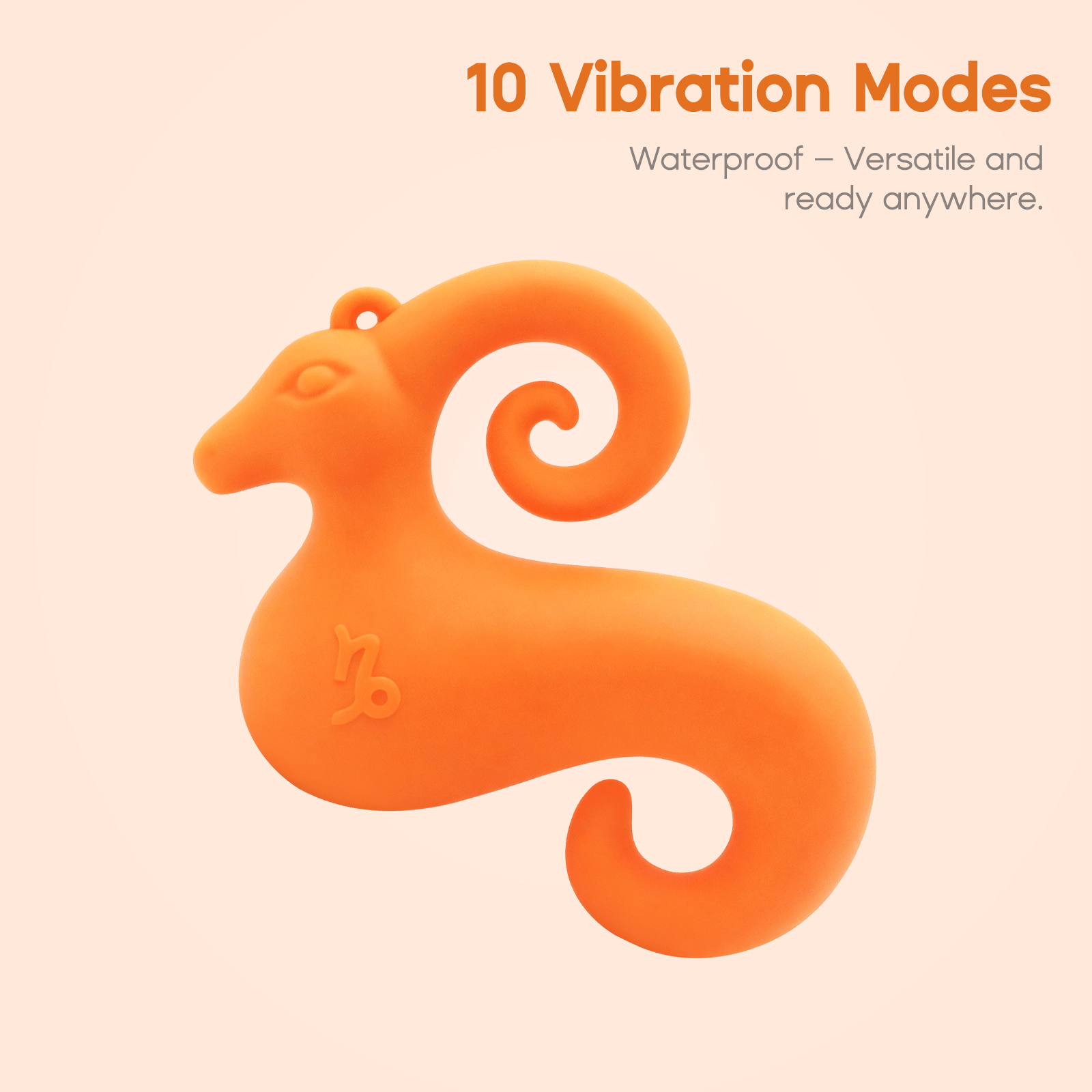 Capricorn Mini Vibe