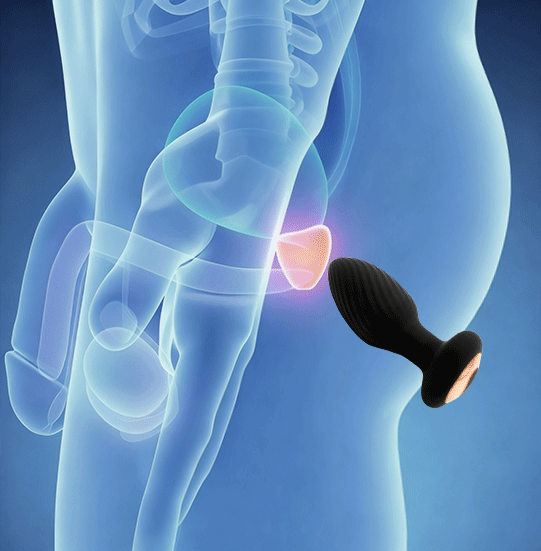Spin Rotating Anal Plug